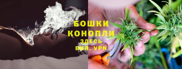 каннабис Аркадак