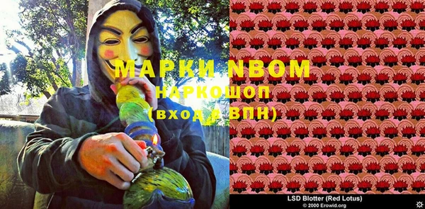 стафф Армянск