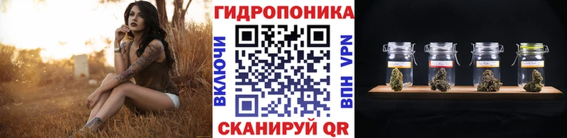 Конопля план  Тырныауз 